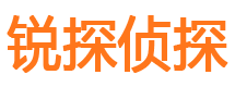 东洲侦探公司